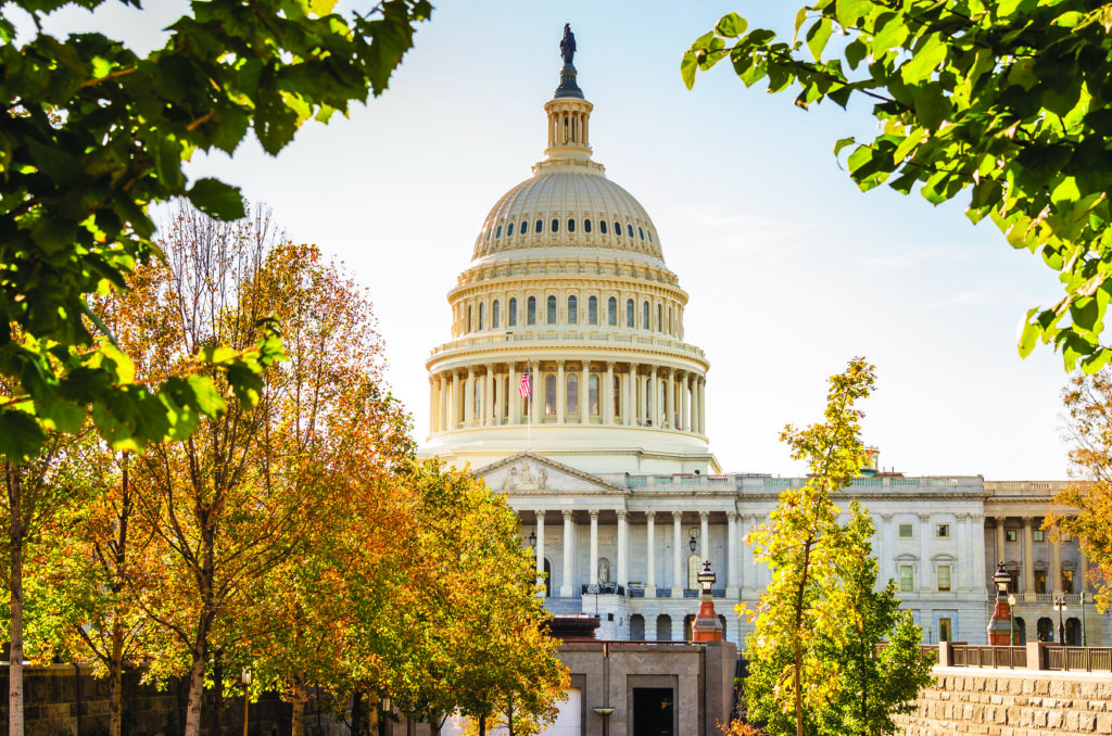 Capitol Building in Washington DC on a Sunny Fall Day View of the Capitol Building in Washington DC Warmly Lit by an Afternoon Autumnal Sun. Some Colourful Trees are in Foreground.